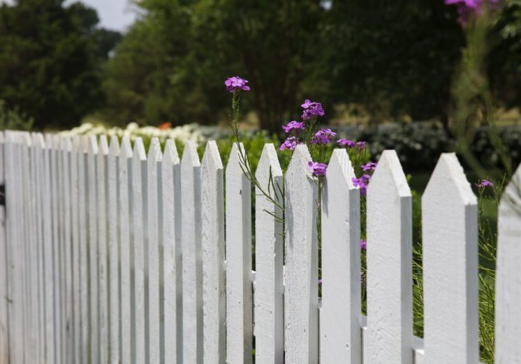 Stock image of white picket fence with wildflowers.